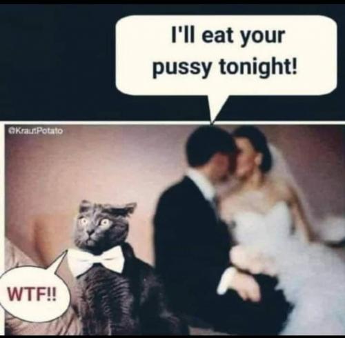 10:44:49 GMT-0500 (EST).image