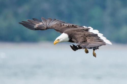 04:28:18 GMT-0600 (CST).image