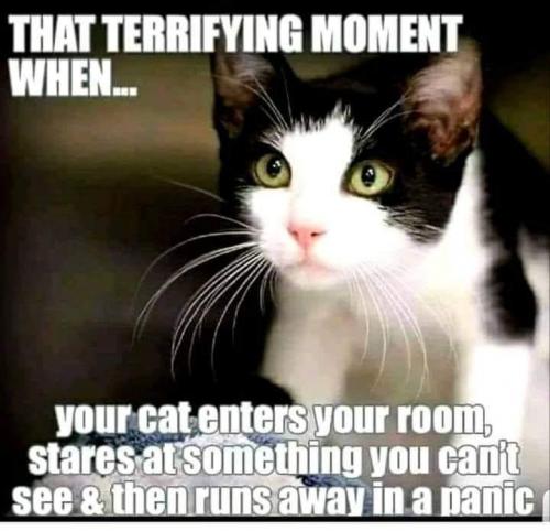 21:55:16 GMT-0800 (PST).image