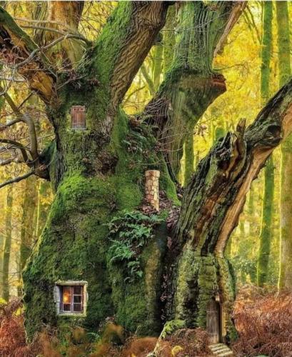 20:30:27 GMT-0600 (CST)