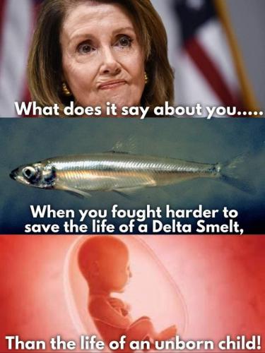 11:22:00 GMT-0600 (CST)