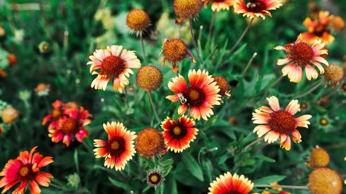 15:19:05 GMT+0100 (WAT)