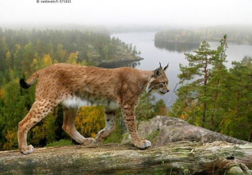 150567824_1516269395239072_4650812463415370303_n