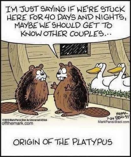 20:19:02 GMT-0500 (EST)