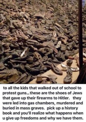gun control176