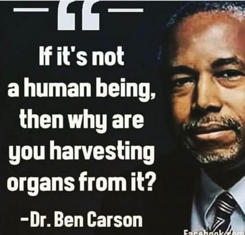 DCE1B7F1-4880-4B88-9E6B-AF5192798981