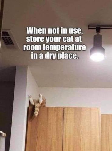 12:00:26 GMT-0500 (EST)