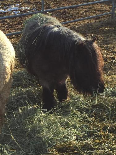 09:21:26 GMT-0800 (PST).image