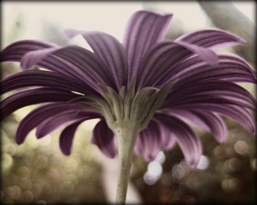 22:08:50 GMT-0800 (PST)