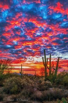 09:44:17 GMT-0600 (CST)