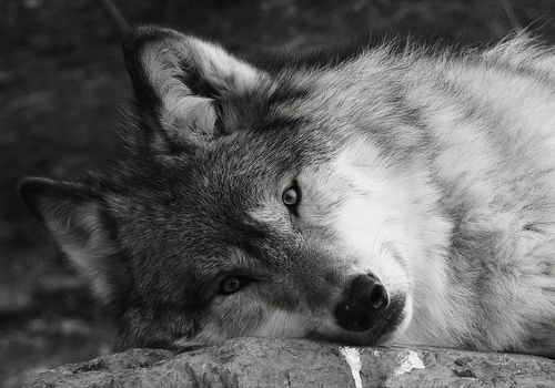 18:50:57 GMT-0600 (CST)