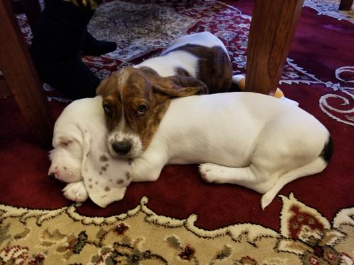 00:22:13 GMT-0800 (PST)