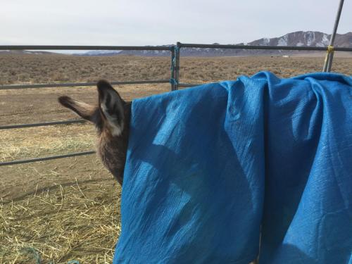 19:56:20 GMT-0800 (PST).image