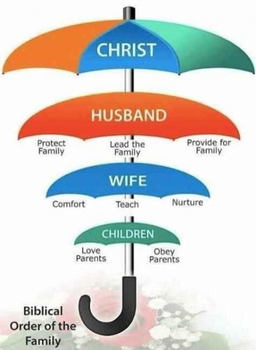 d3eEHlWXqTw8B6UwP76g_20_dbbbfe7bc3a624be871150ad21ba4236_image_original