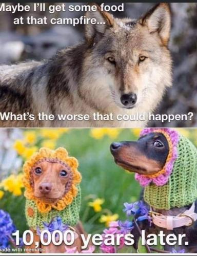 19:32:41 GMT-0600 (CST)