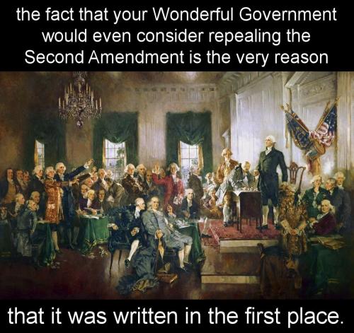 repealing the second amendment00