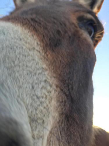 07:41:04 GMT-0800 (PST).image