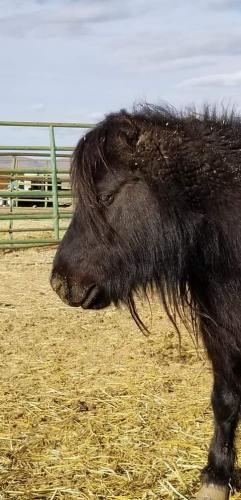 19:56:20 GMT-0800 (PST).image