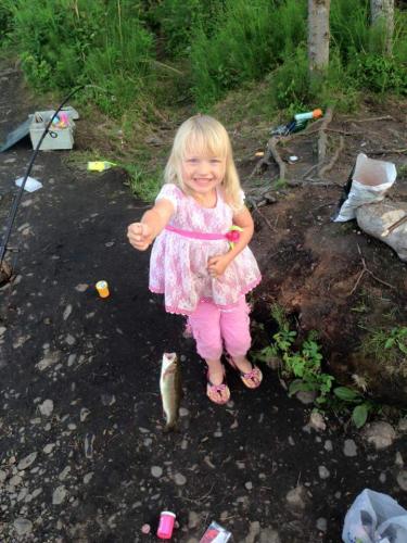 23:43:32 GMT-0800 (PST)