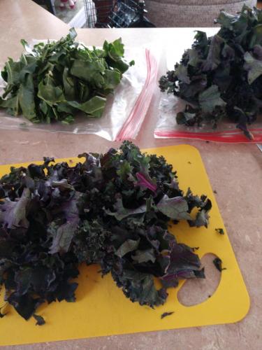 17:09:20 GMT-0700 (MST)