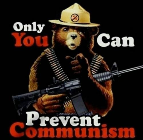 only you can prevent communism