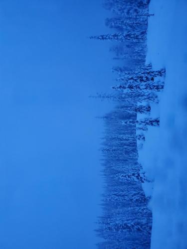 13:00:22 GMT-0800 (PST)