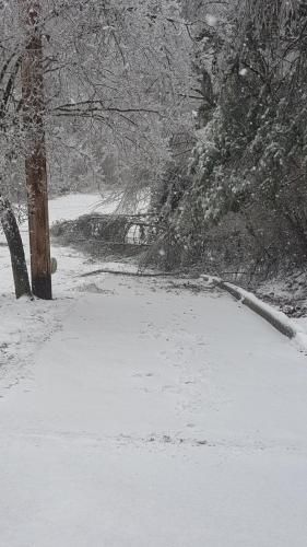 17:17:51 GMT-0500 (EST)