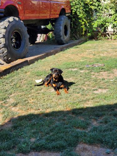 17:00:48 GMT-0800 (PST)