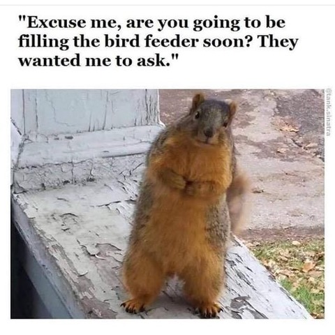 22:21:47 GMT-0600 (CST).image