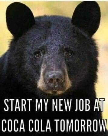 13:22:53 GMT+0000 (GMT)