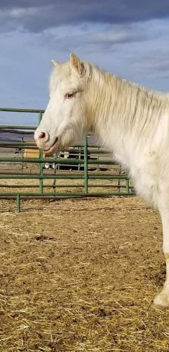 19:56:20 GMT-0800 (PST).image