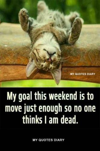 09:59:58 GMT-0700 (MST).image