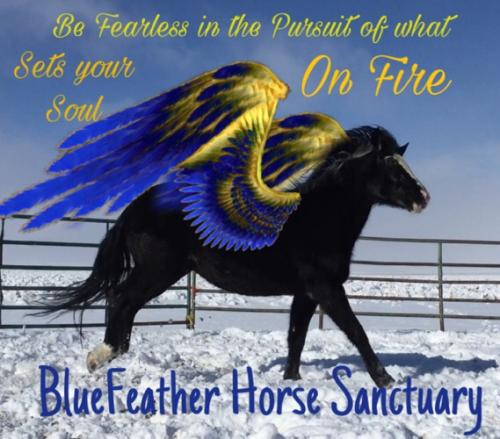 20:36:53 GMT-0800 (PST).image