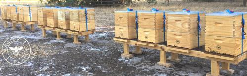 Eddie Naude - Magick Planet - Google+