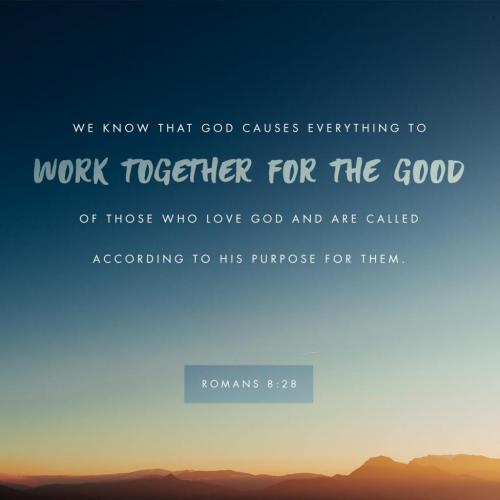 13:19:29 GMT-0500 (EST)