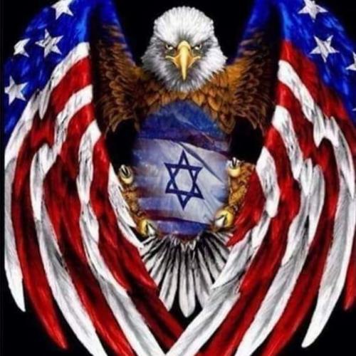 US_Eagle Israel