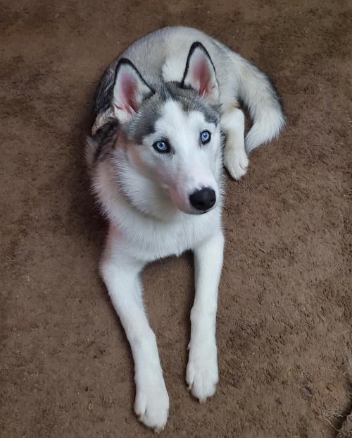 09:10:26 GMT-0500 (EST)