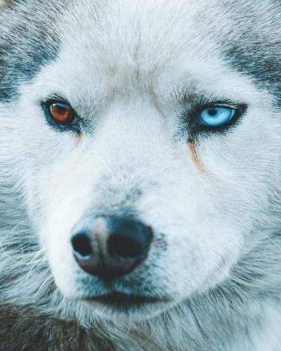 147393538_113076834087021_6676570275009756082_o