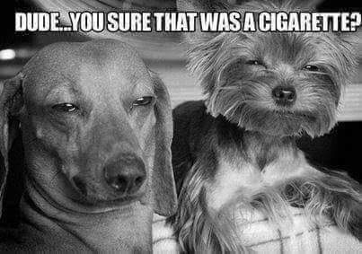 15:08:24 GMT-0600 (CST)