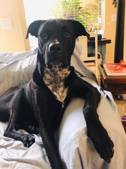 17:44:41 GMT+0100 (WAT)