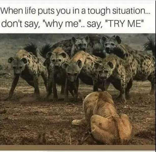 20:12:22 GMT-0600 (CST).image