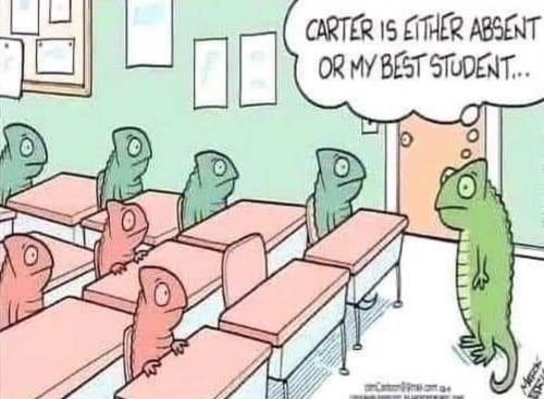 12:08:04 GMT-0600 (CST)