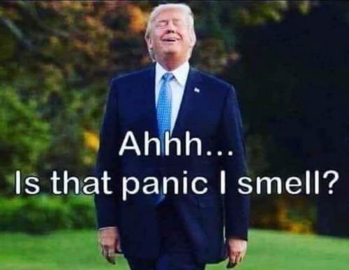 08:56:27 GMT-0500 (EST).image