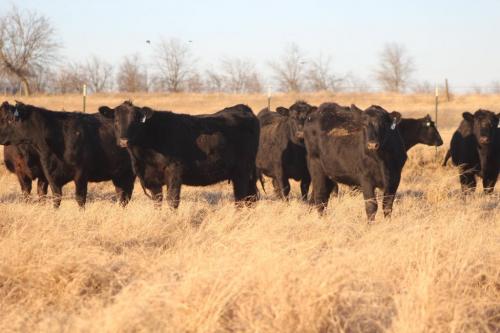 145931137_959312661266375_7476441508601620356_o