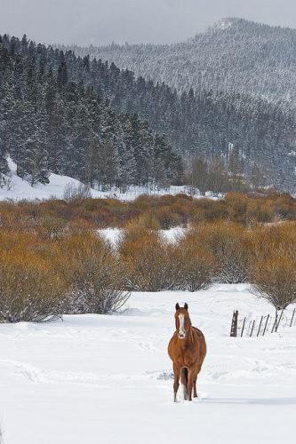 154967528_1522377311294947_721440026816722650_n