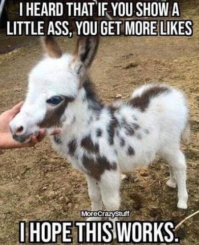 19:30:45 GMT-0500 (EST)