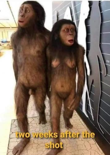 15:42:19 GMT-0600 (CST).image