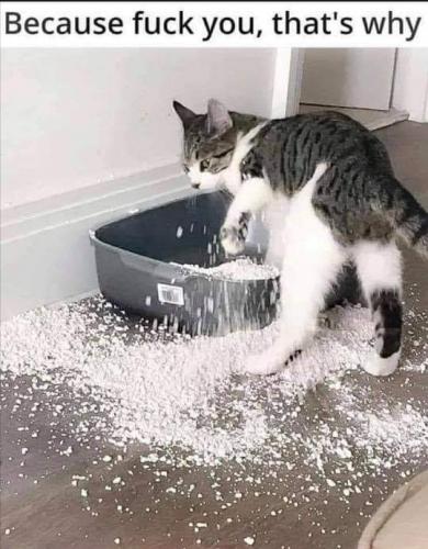 11:21:00 GMT-0600 (CST)