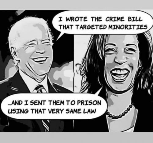 Biden and Harris Crime Bill and Prison - meme