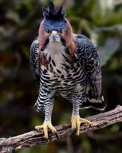 144978406_1789036131262591_702963168129272199_n